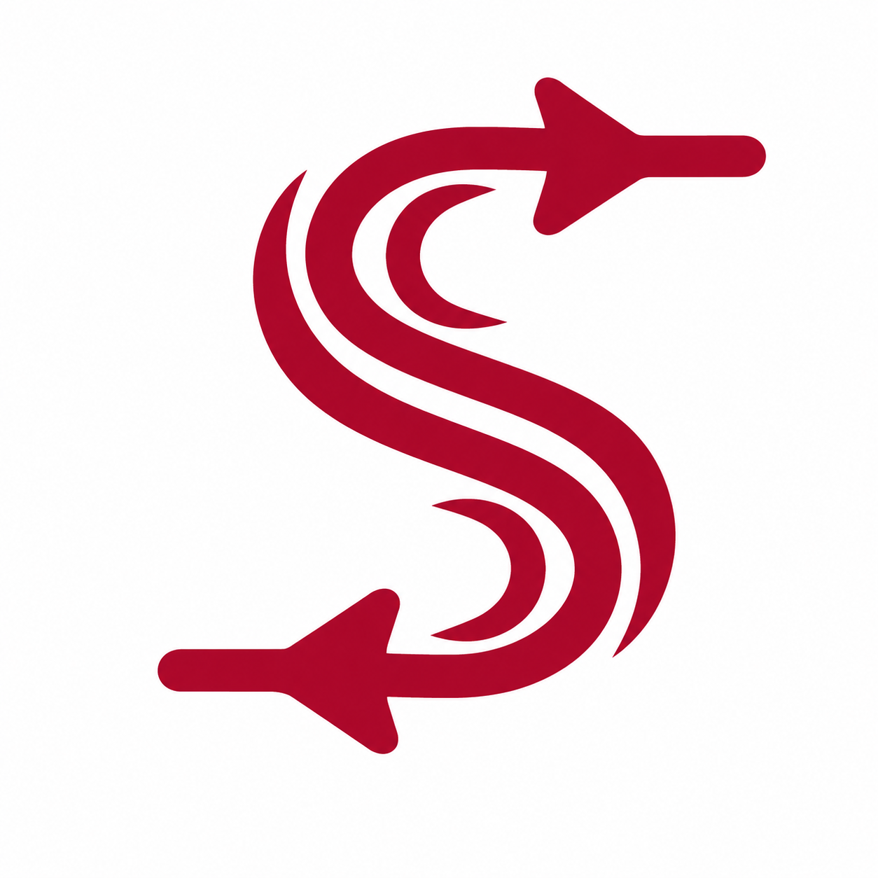 Sky Speed Courier logo